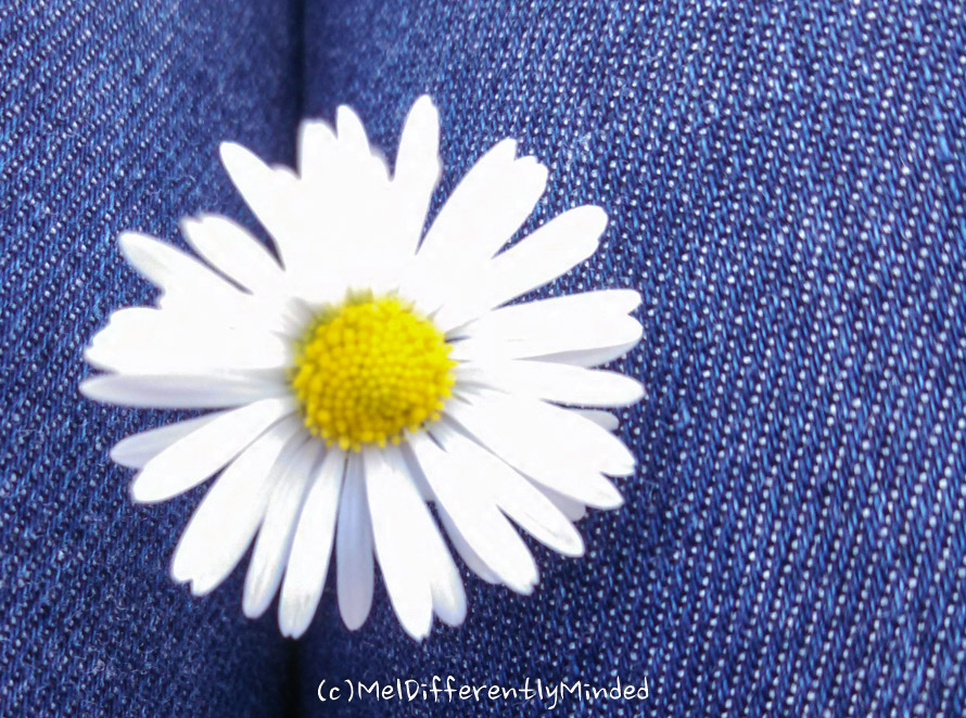 Monthments 10-2015-2