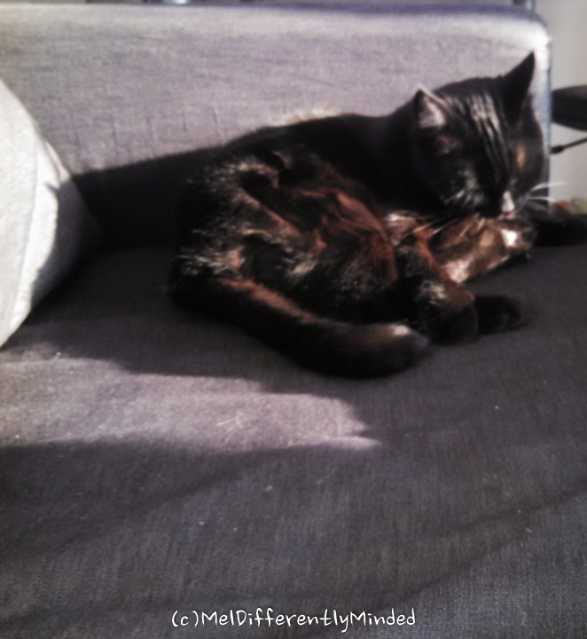 Monthments 10-2015 a-19